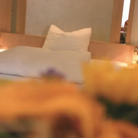 Hotel Western Riedstern 4*